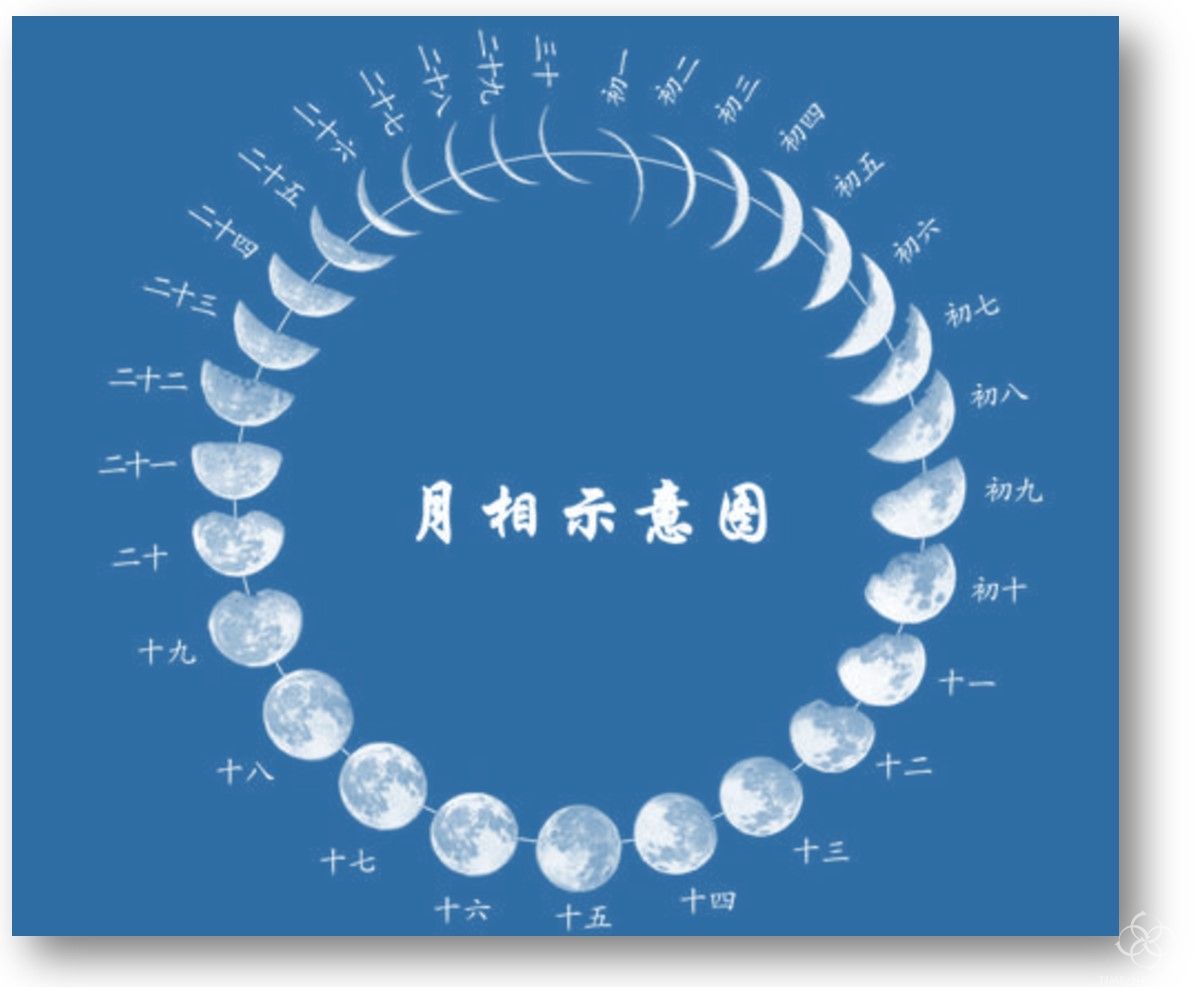 连续11个月超3.2万亿美元；央行六度暂停增持黄金