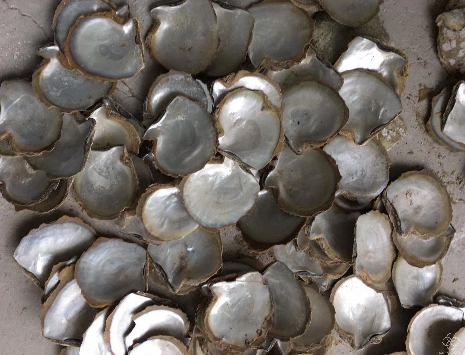 珍珠母贝表盘是如何制作的