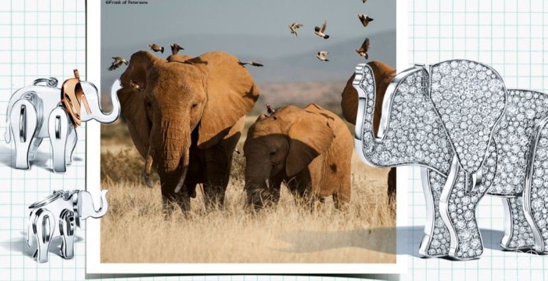 ​一线顶级珠宝品牌的新势力