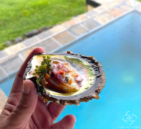 ​探秘珍珠颜色的形成